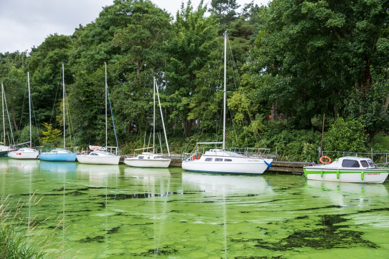 How to handle water bacteria and environmental issues affecting your tours