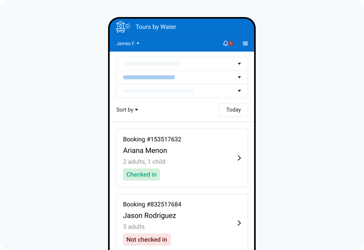 Mobile manifest showing souls on board count