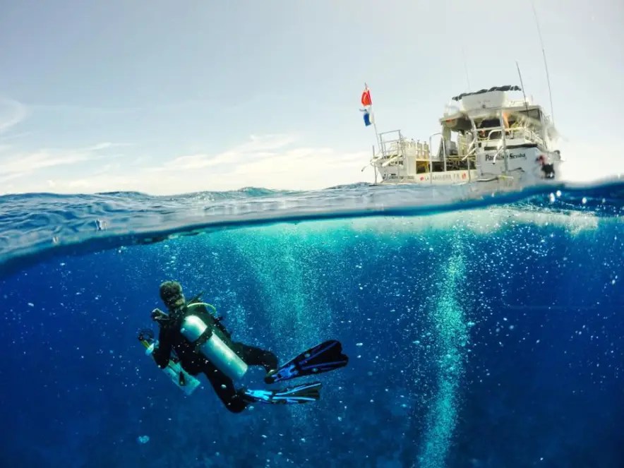 Snorkelers exploring reef waters off Puerto Rico