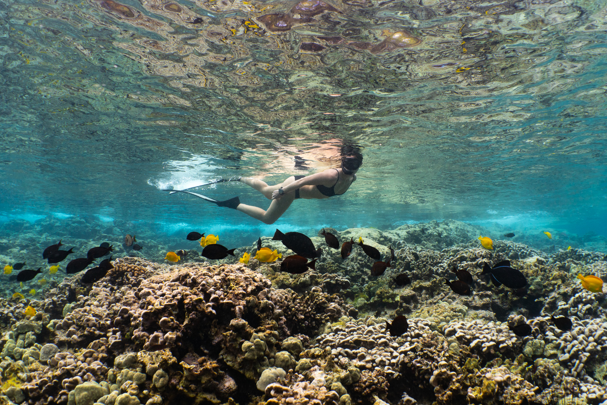 a person swimming in the water