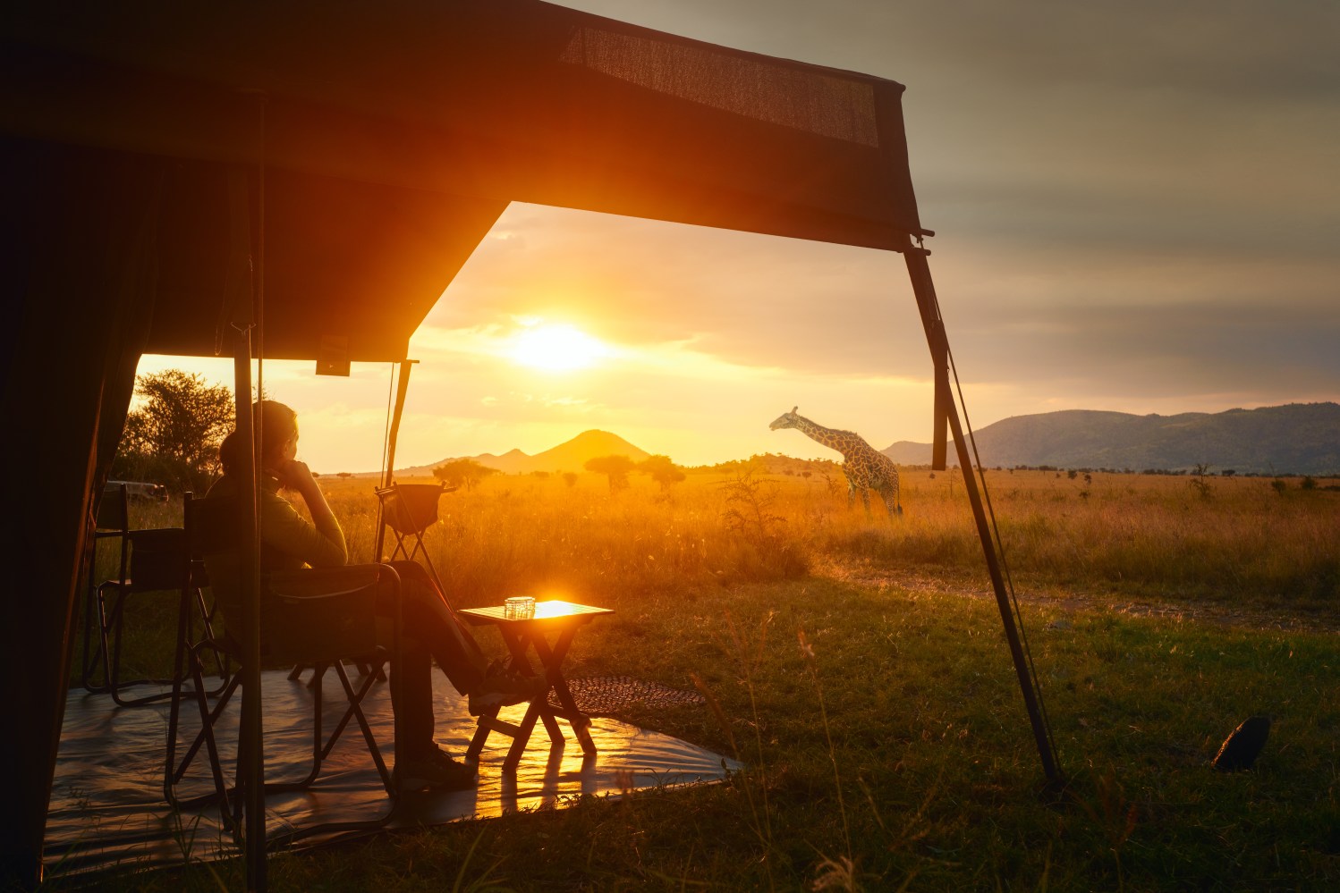 Woman rests after safari in luxury tent during sunset camping in the African savannah of Serengeti National Park, Tanzania. Woman Camping Tent Savanna Outdoors Concept